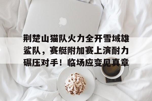 关于荆楚山猫队火力全开雪域雄鲨队，赛艇附加赛上演耐力碾压对手！临场应变见真章的信息-九游体育